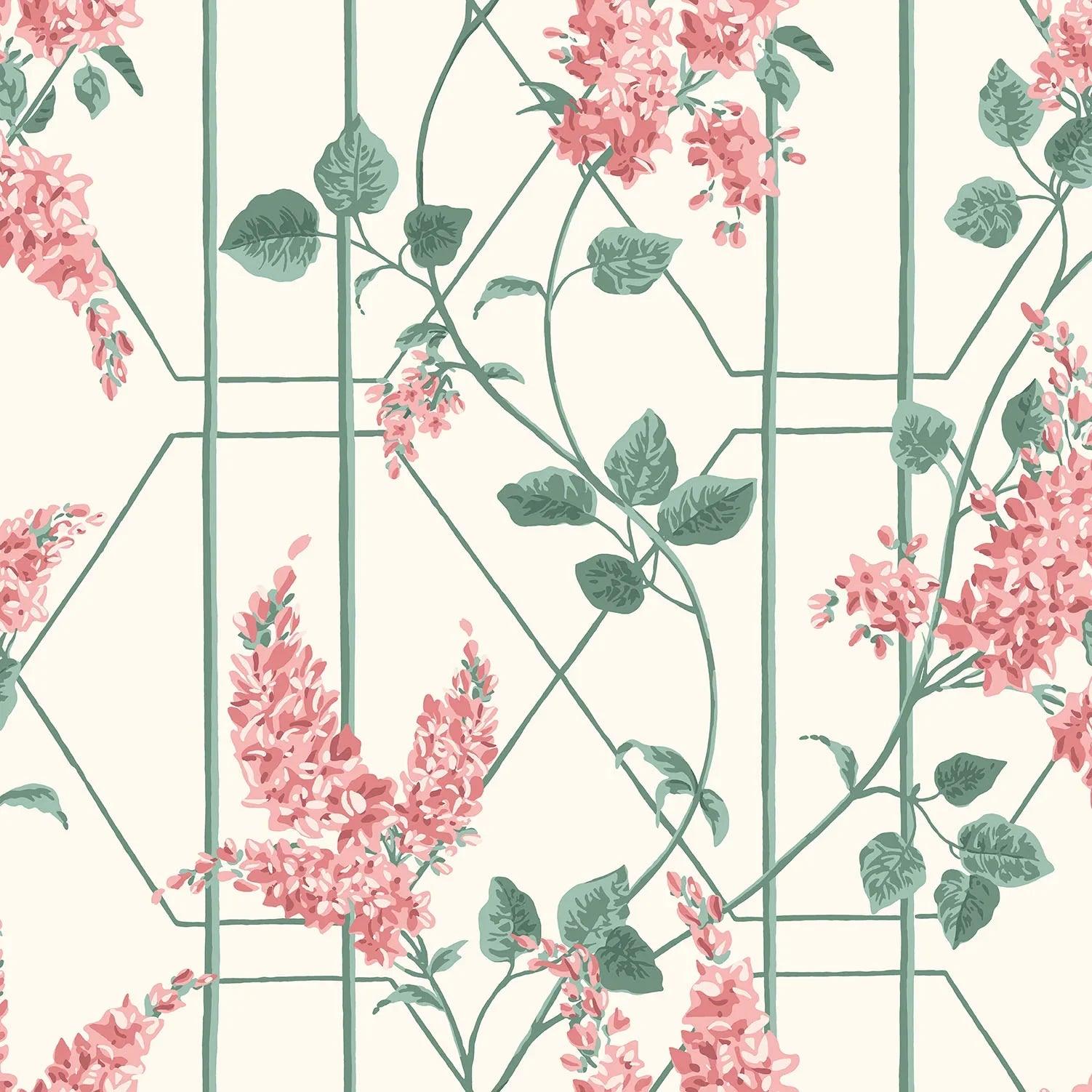 Tapeta BOTANICAL BOTANICA - Wisteria koral na białym Cole & Son Eye on Design