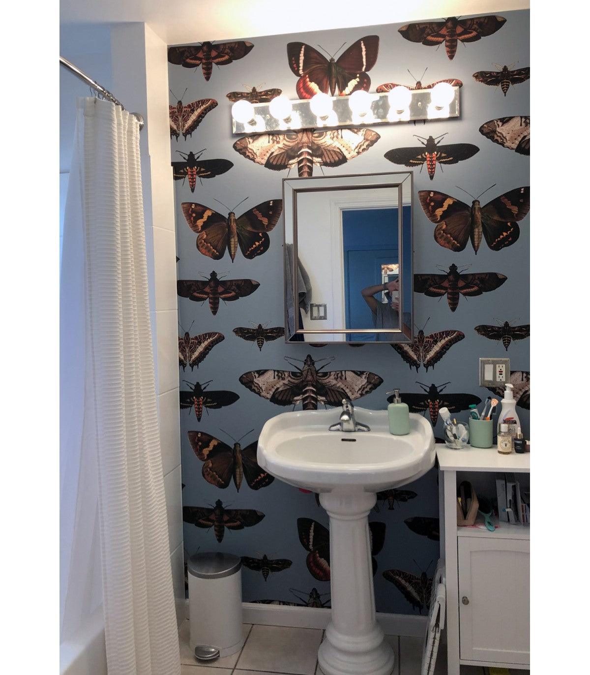 Tapeta BUTTERFLIES TURQUOISE Wallcolors Eye on Design