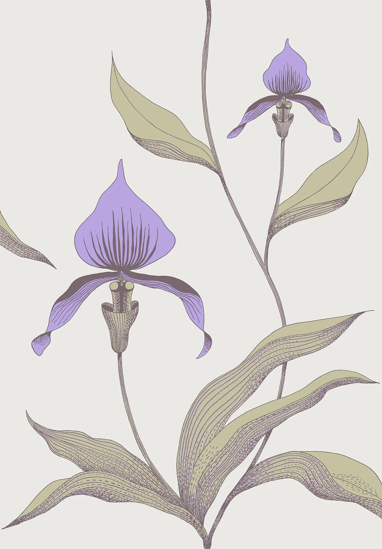 Tapeta CONTEMPORARY COLLECTION - Orchid Cole & Son Liliowy i oliwkowy na jasnej zieleni Eye on Design