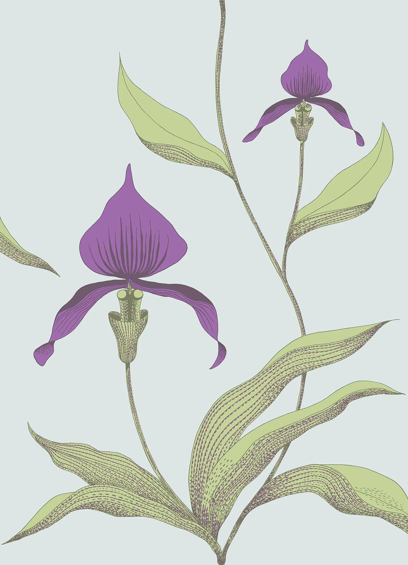 Tapeta CONTEMPORARY COLLECTION - Orchid Cole & Son Fioletowy i zielony na piance morskiej Eye on Design
