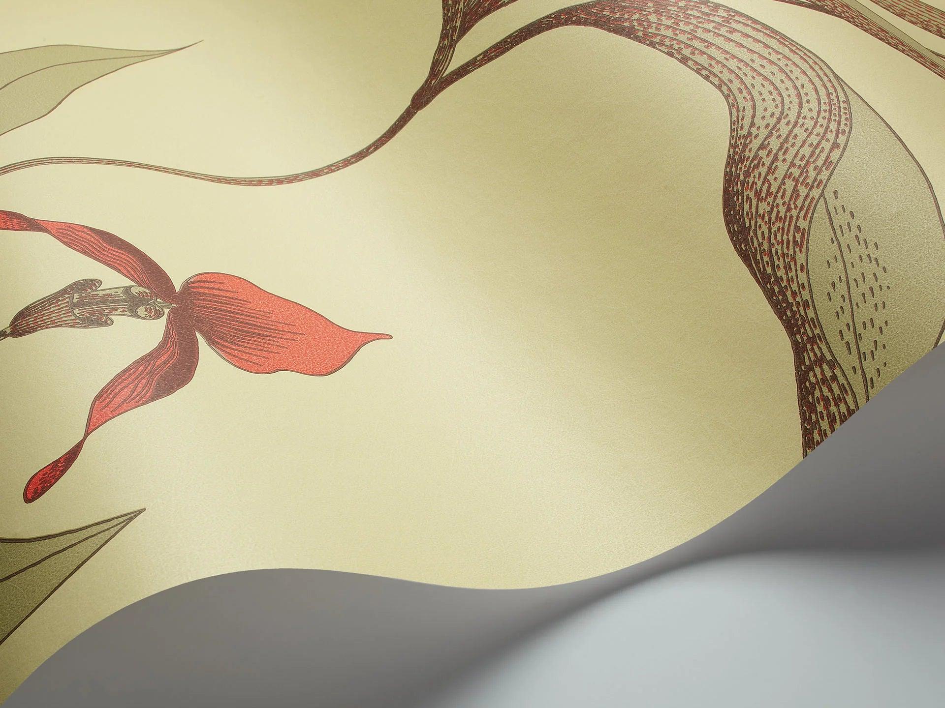 Tapeta CONTEMPORARY COLLECTION - Orchid Cole & Son Eye on Design