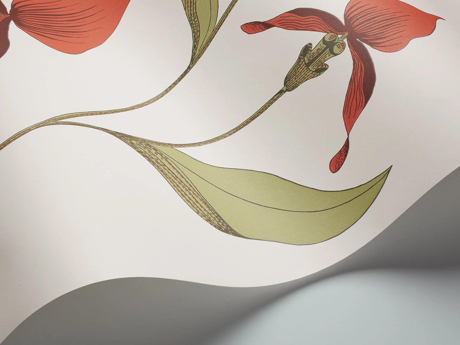 Tapeta CONTEMPORARY COLLECTION - Orchid Cole & Son Eye on Design