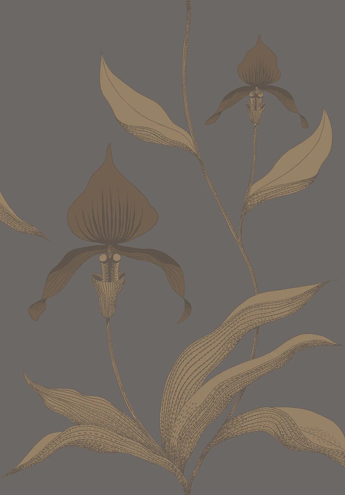 Tapeta CONTEMPORARY COLLECTION - Orchid Cole & Son Metaliczny brąz na szarym Eye on Design