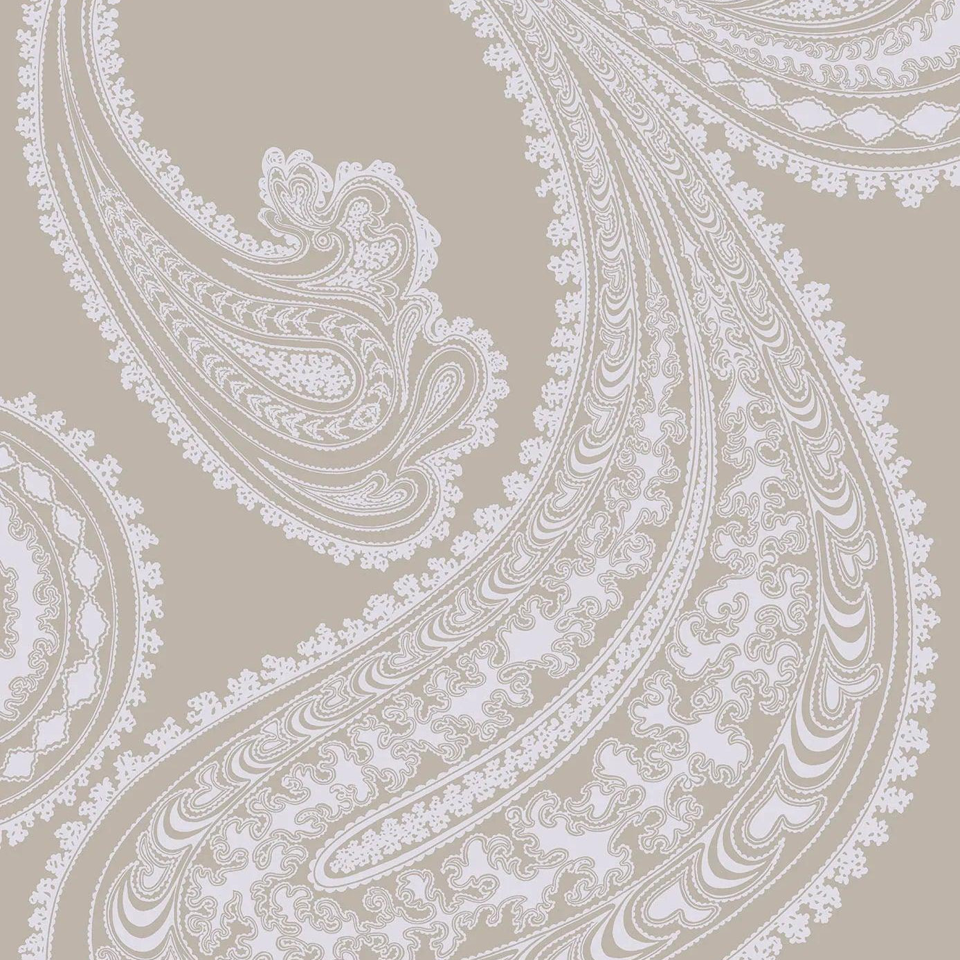 Tapeta CONTEMPORARY COLLECTION - Rajapur szary na beżu Cole & Son Eye on Design