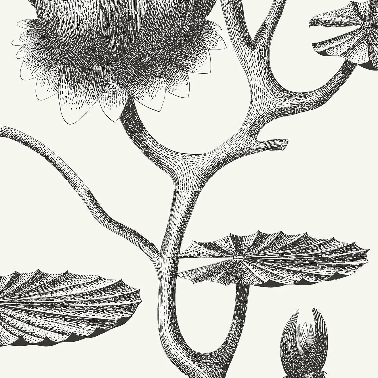 Tapeta CONTEMPORARY RESTYLED - Lily biały Cole & Son Eye on Design