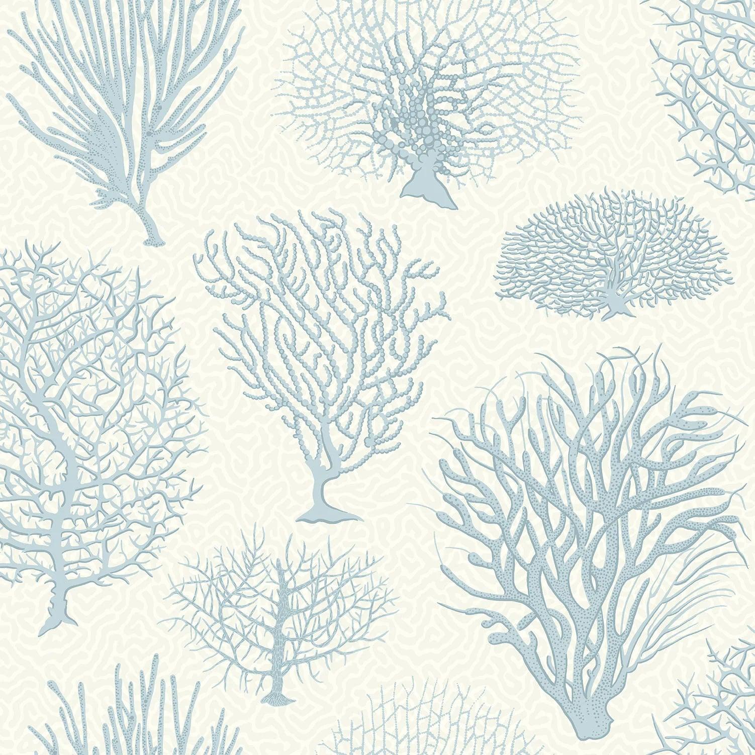 Tapeta CURIO - Seafern błękit na białym Cole & Son Default Title Eye on Design