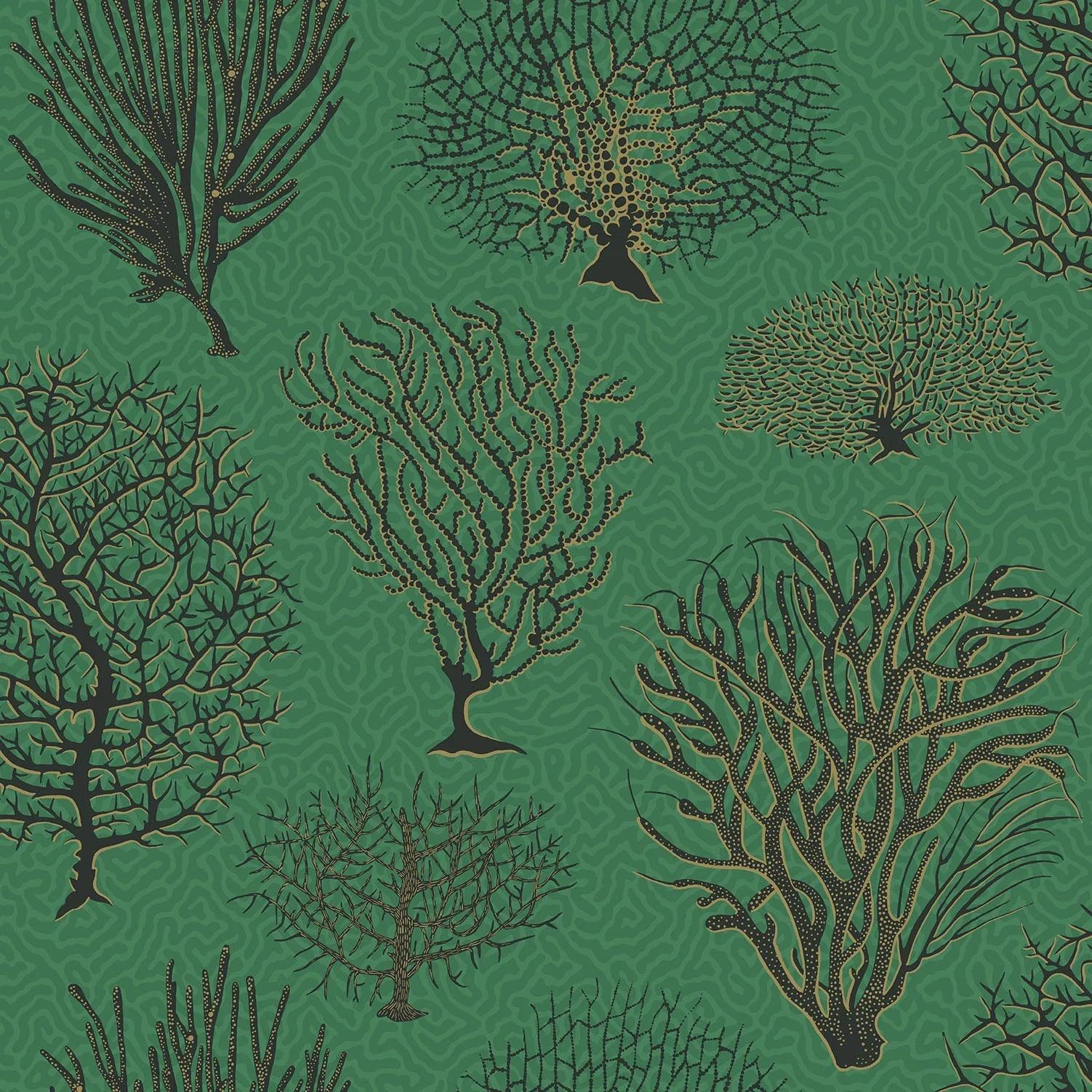Tapeta CURIO - Seafern zielony Cole & Son Eye on Design