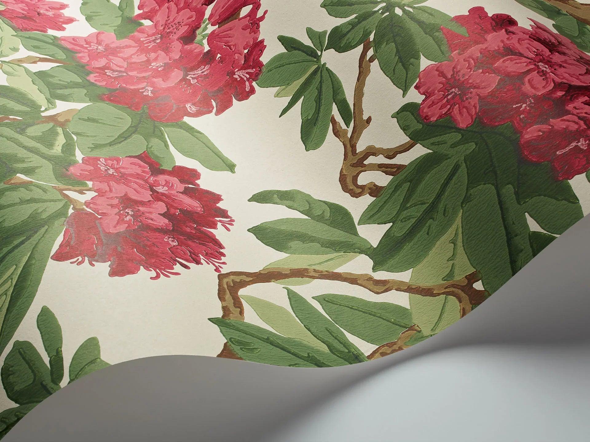 Tapeta FOLIE - Bourlie róż na bieli Cole & Son Eye on Design