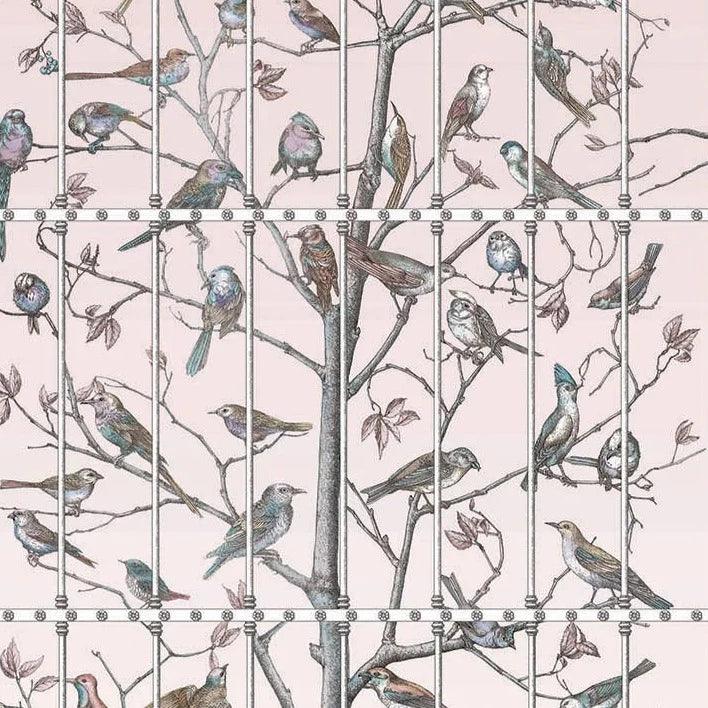 Tapeta FORNASETTI - Uccelli różowy Cole & Son Eye on Design