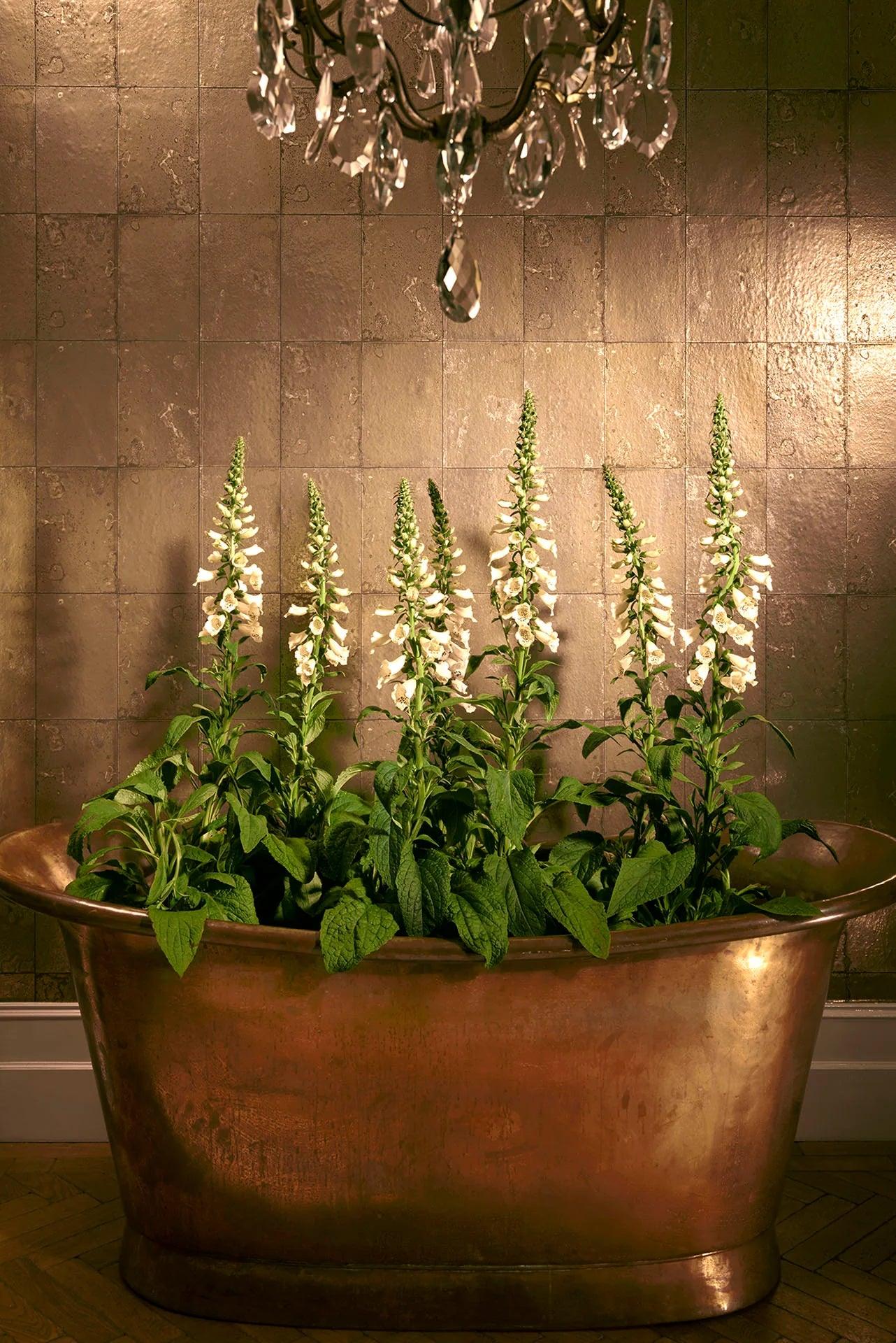 Tapeta MARIINSKY DAMASK - Antique Mirror metaliczne złoto Cole & Son Eye on Design