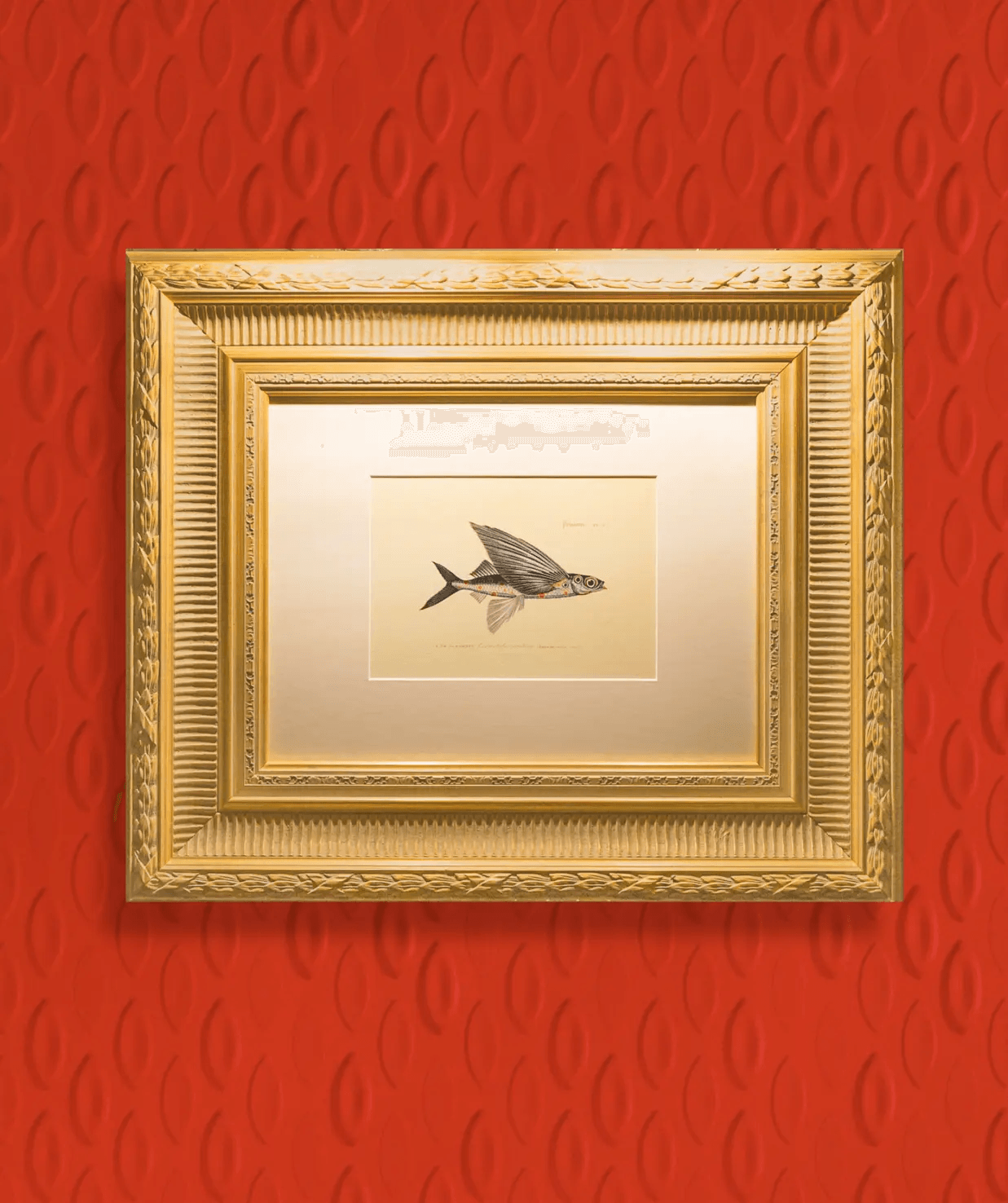 Tapeta trójwymiarowa FLYING CORAL FISH - POPPY Arte Eye on Design