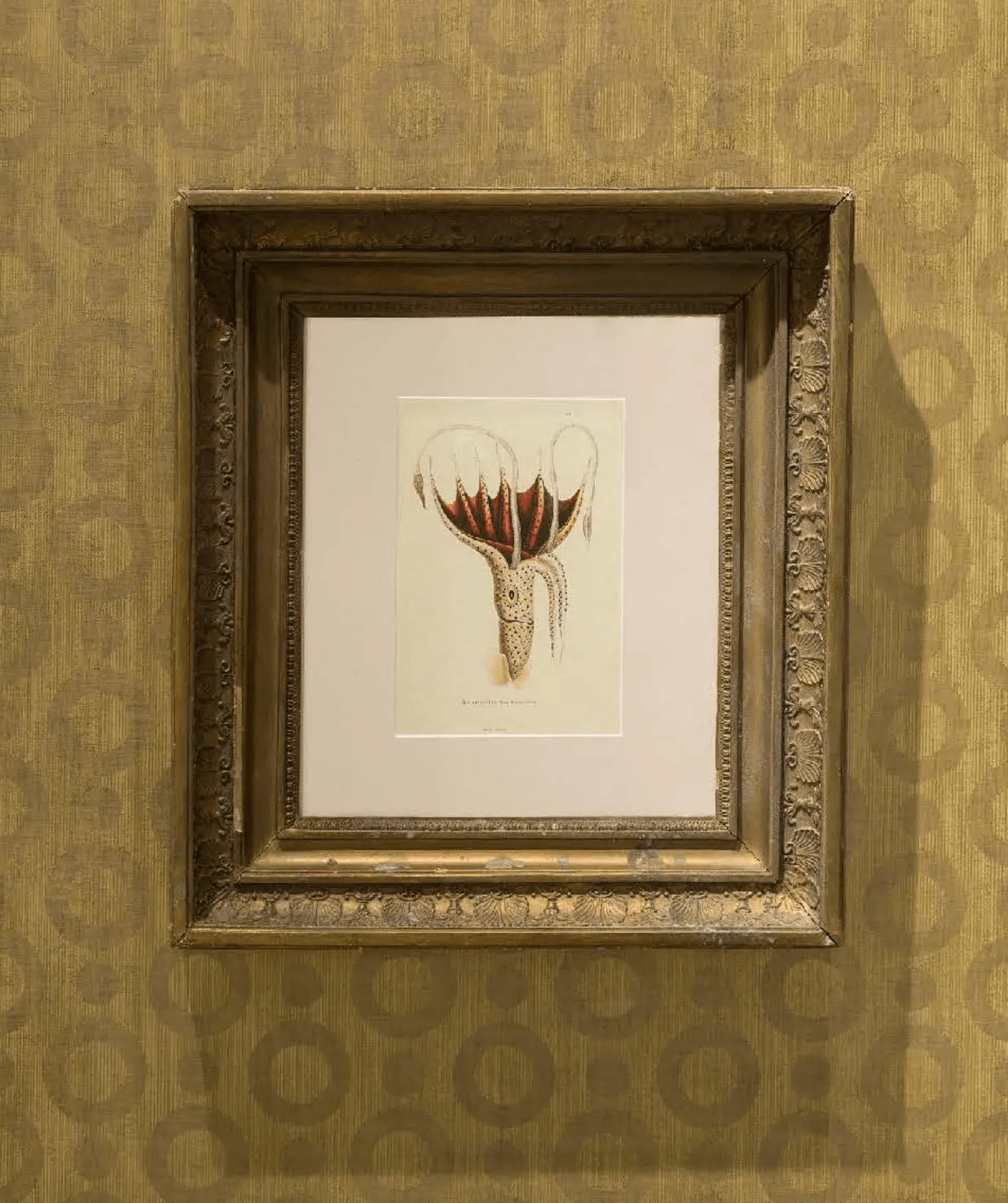 Tapeta UMBRELLA SQUID - GOLD Arte Eye on Design