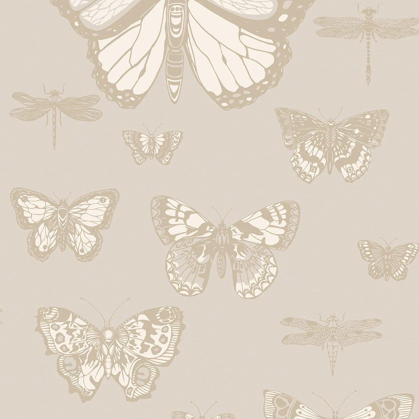 Tapeta WHIMSICAL - Butterflies & Dragonflies beżowy Cole & Son Eye on Design