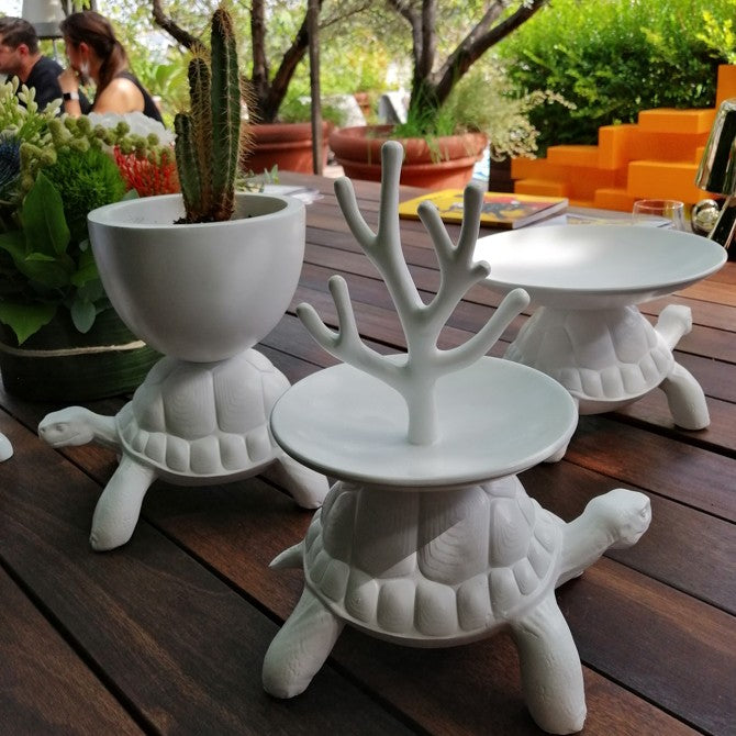 TURTLE CARRY pot green