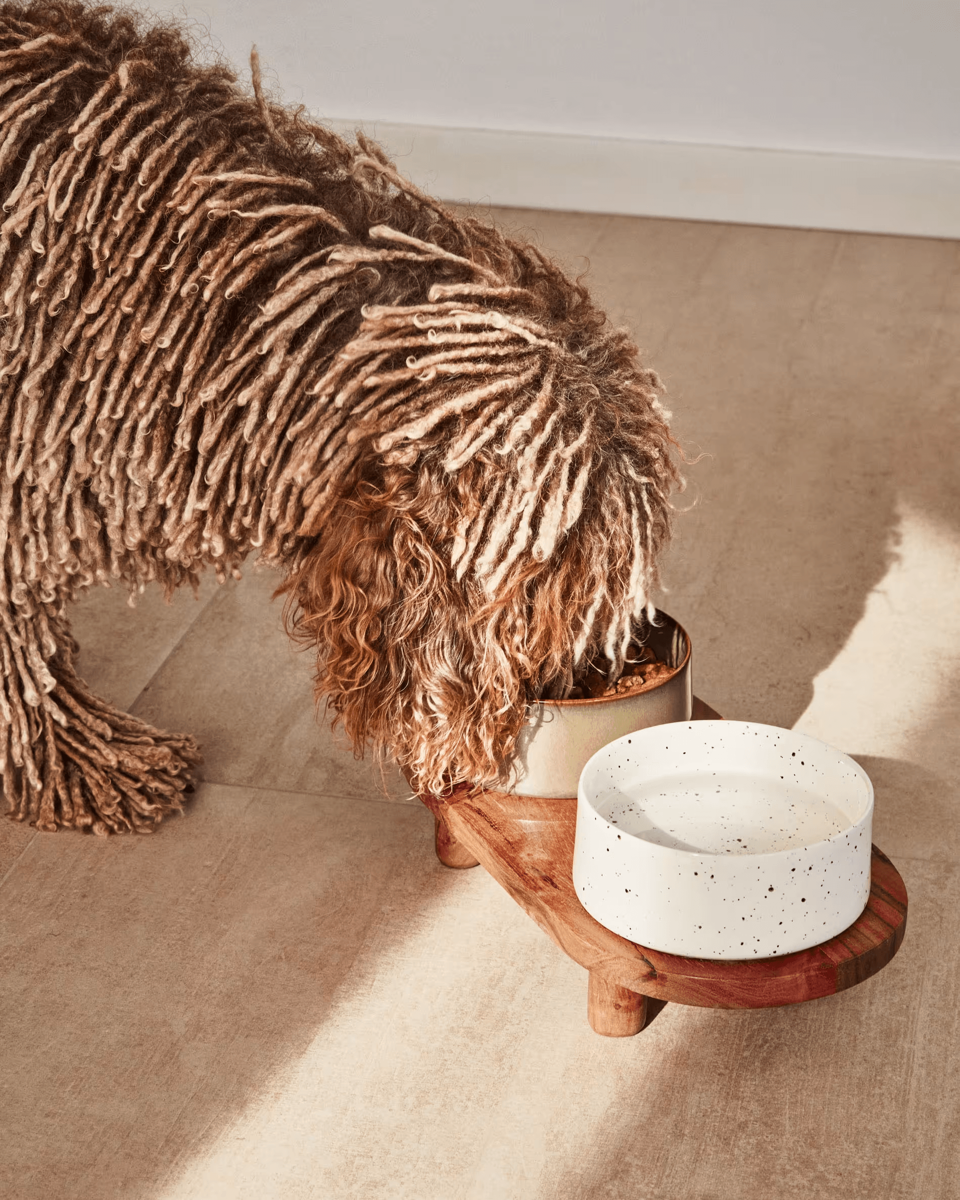 Zestaw misek zwierzęcych DUMBI ceramiczny La Forma Eye on Design