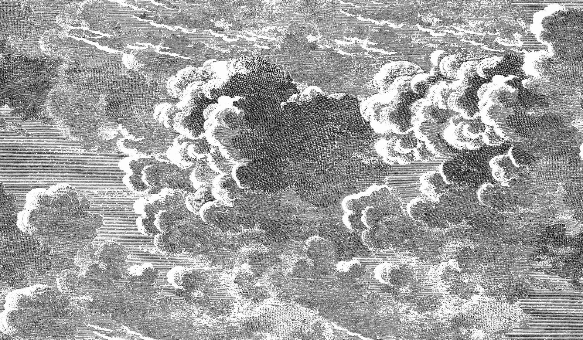 Wallpaper set with a landscape of sky and clouds FORNASETTI - Nuvolette black and white