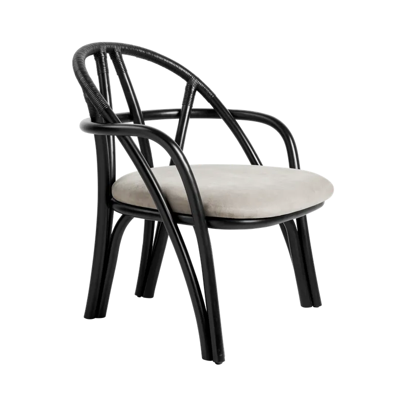 Sessel BISTRA gepolstert mit rattanfarbener Ebenholzgrundlage