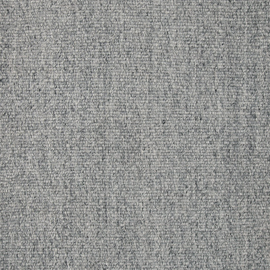ELMO Gray Rug