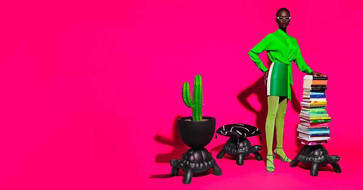 Taca Schildkröte TRAGEN Terakota