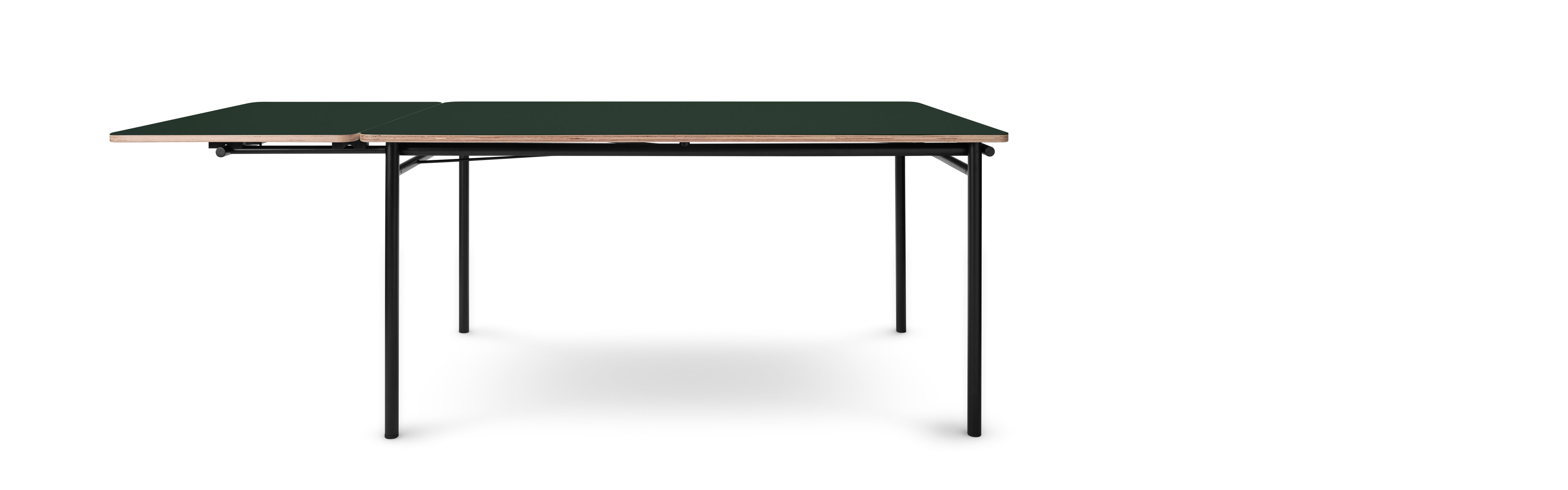 TAFFEL green extendable table