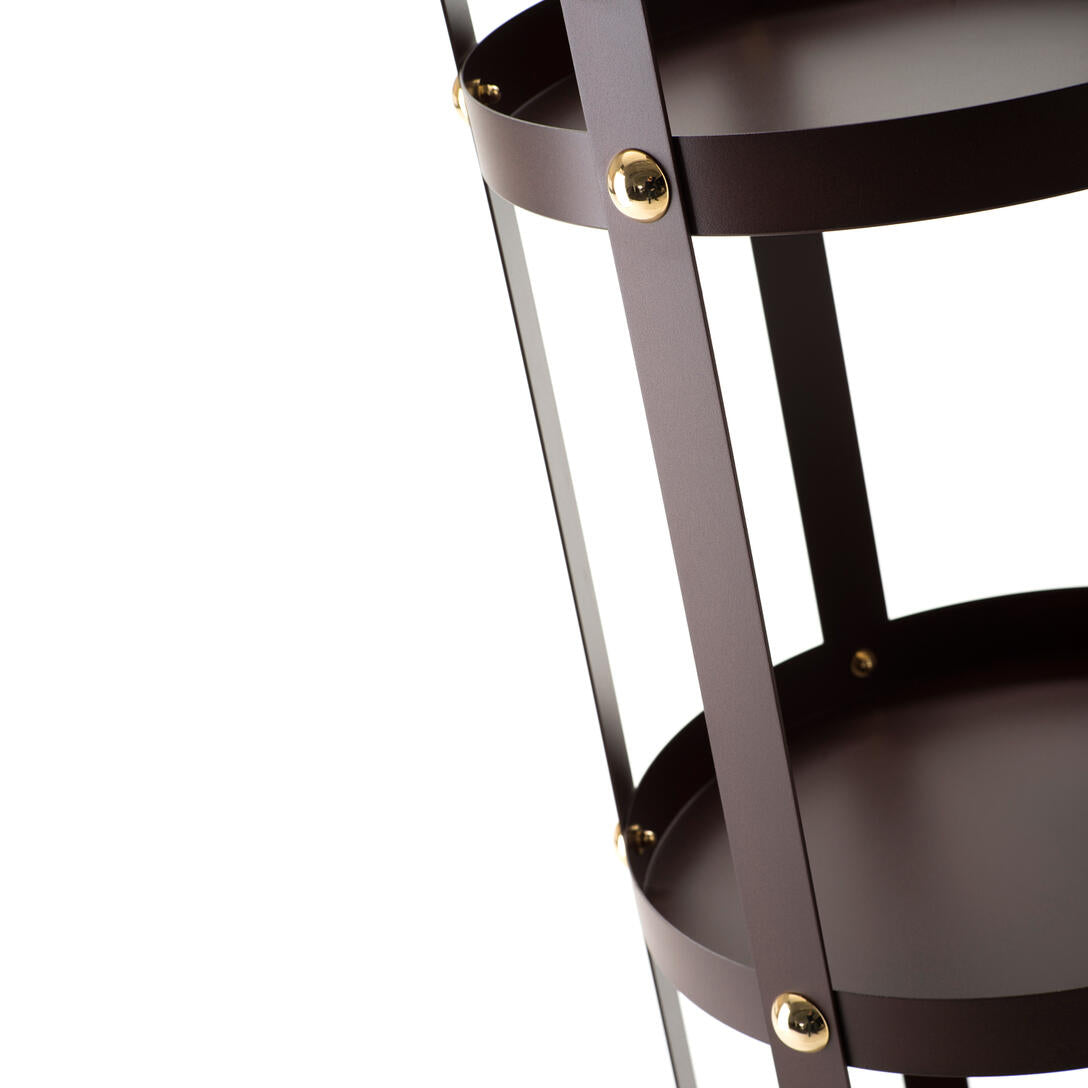 LA GABIA Brown Shelf