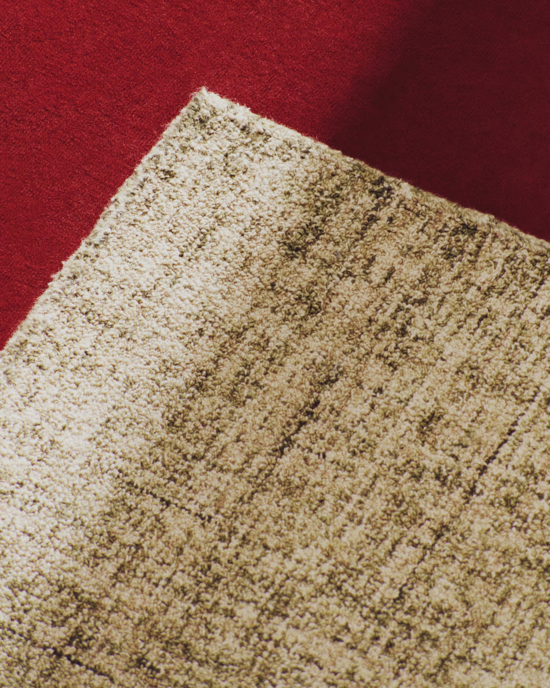 ZARN Beige Carpet