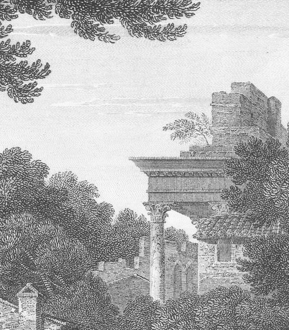 Fliesen-Tapete mit Landschaft ANCIENT RIVERSIDE GROVE grau