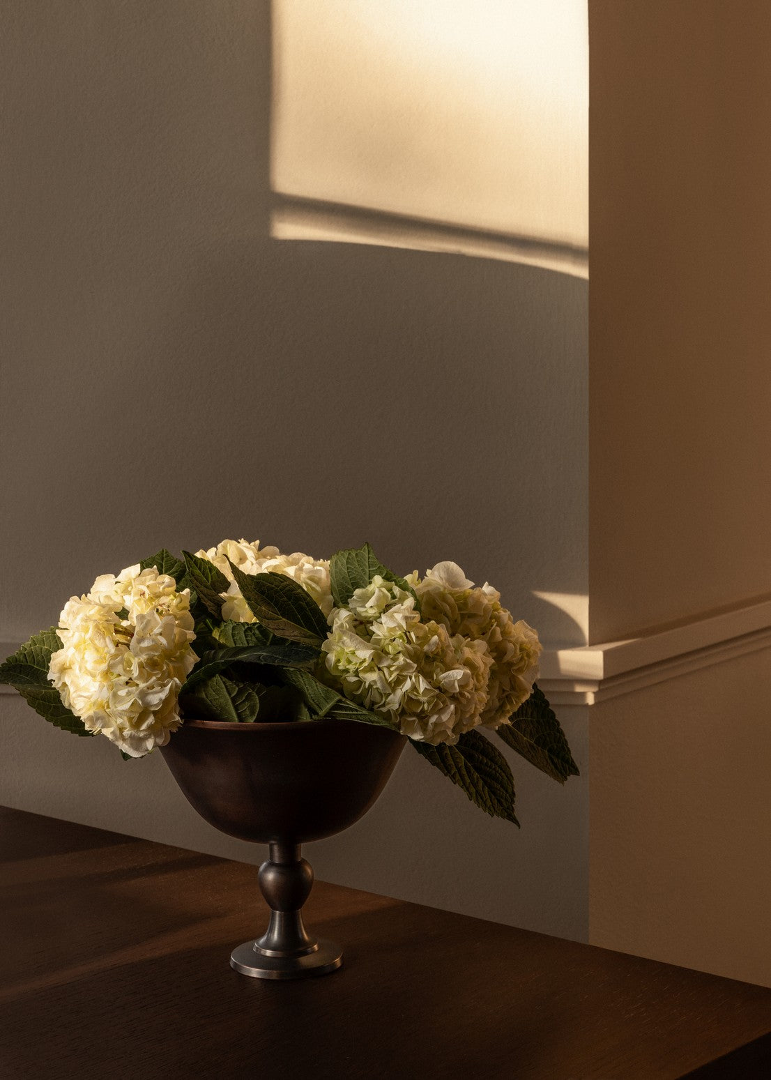 Misa PAVOT brown aluminum