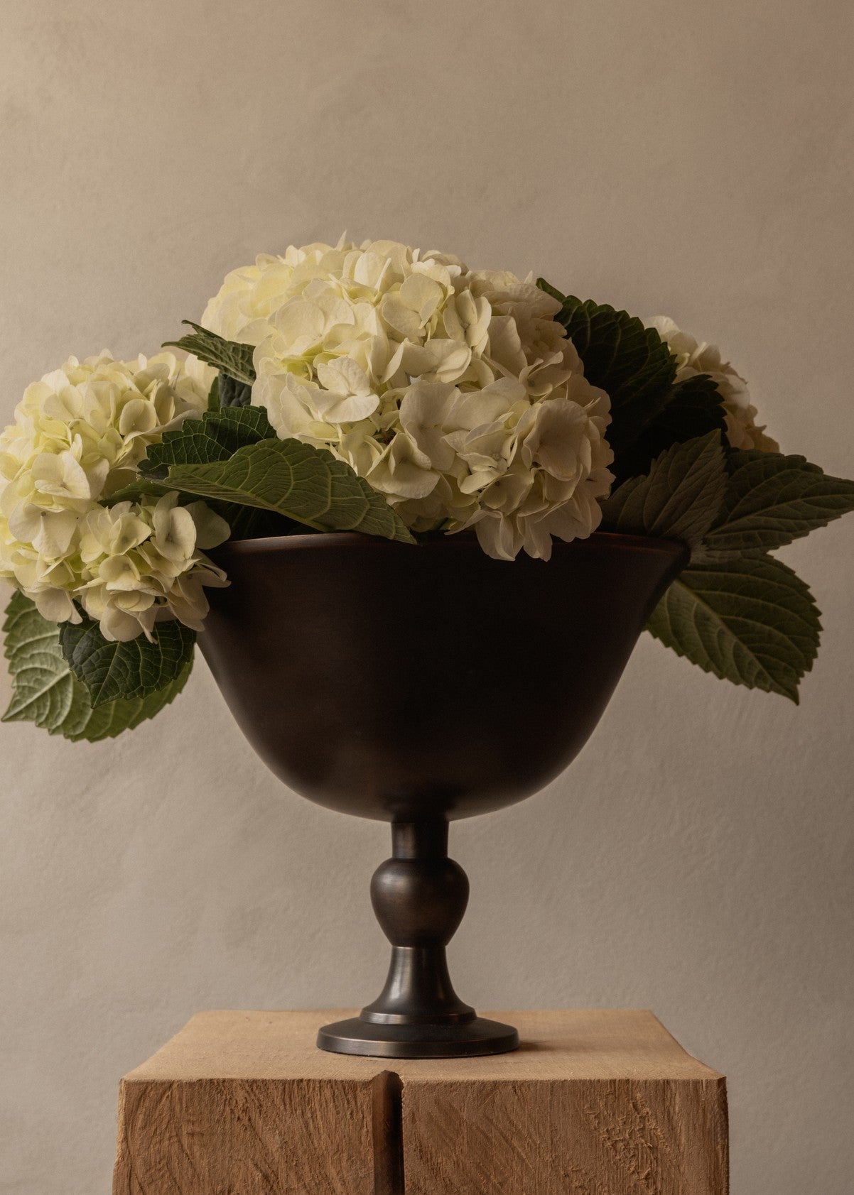 Misa PAVOT brown aluminum