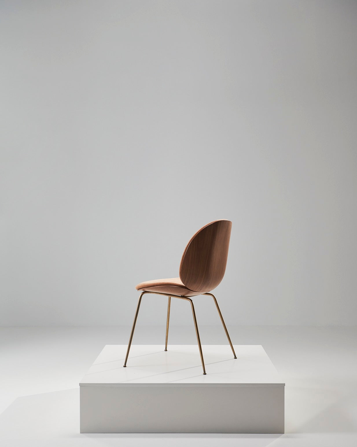 Polsterstuhl BEETLE mit Nussbaumholz und messingfarbenem Gestell