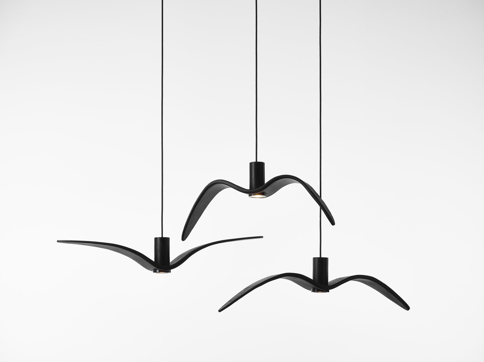 Outer hanging lamp Night Birds Exterior Glass