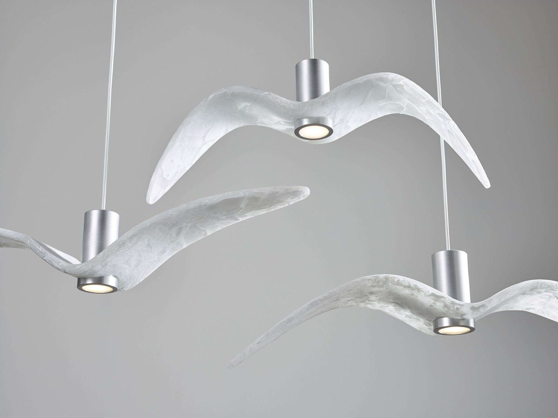 Outer hanging lamp Night Birds Exterior Glass
