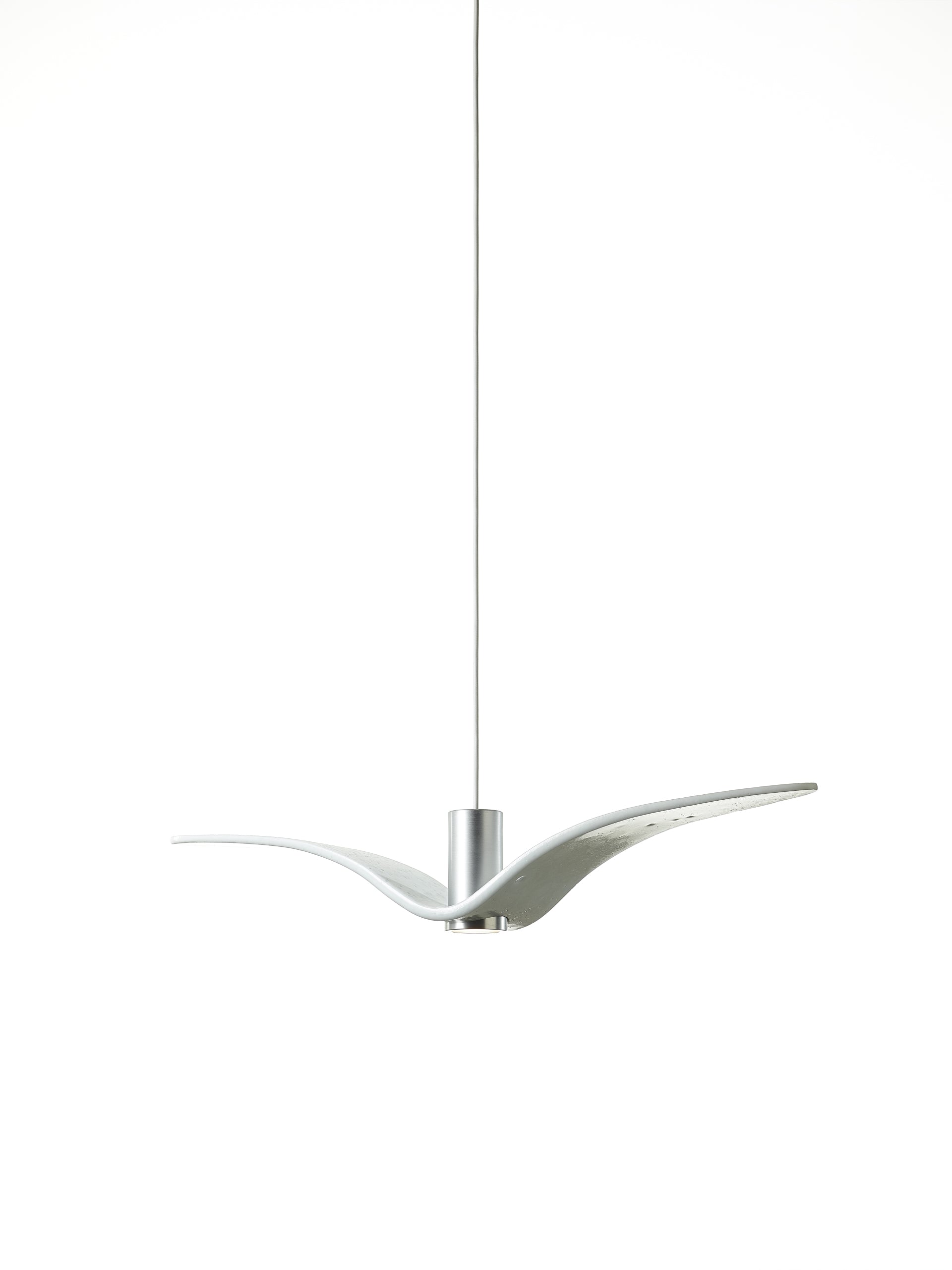 Outer hanging lamp Night Birds Exterior Glass