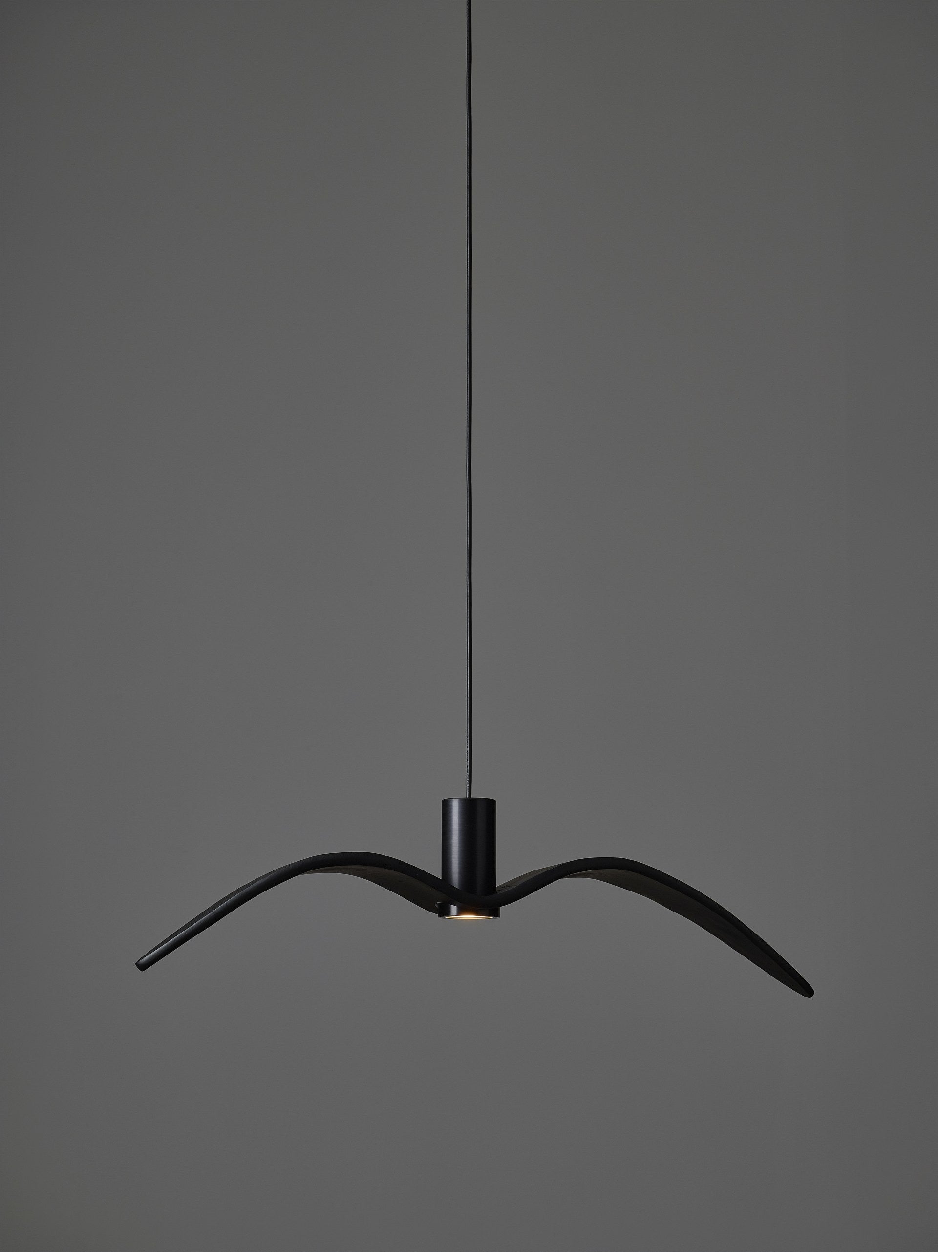 Outer hanging lamp Night Birds Exterior Glass