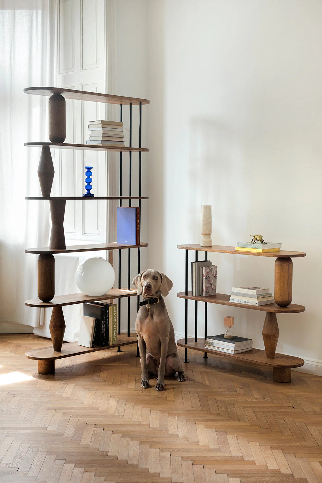 Regal VAZOO schwarzes Eichenholz