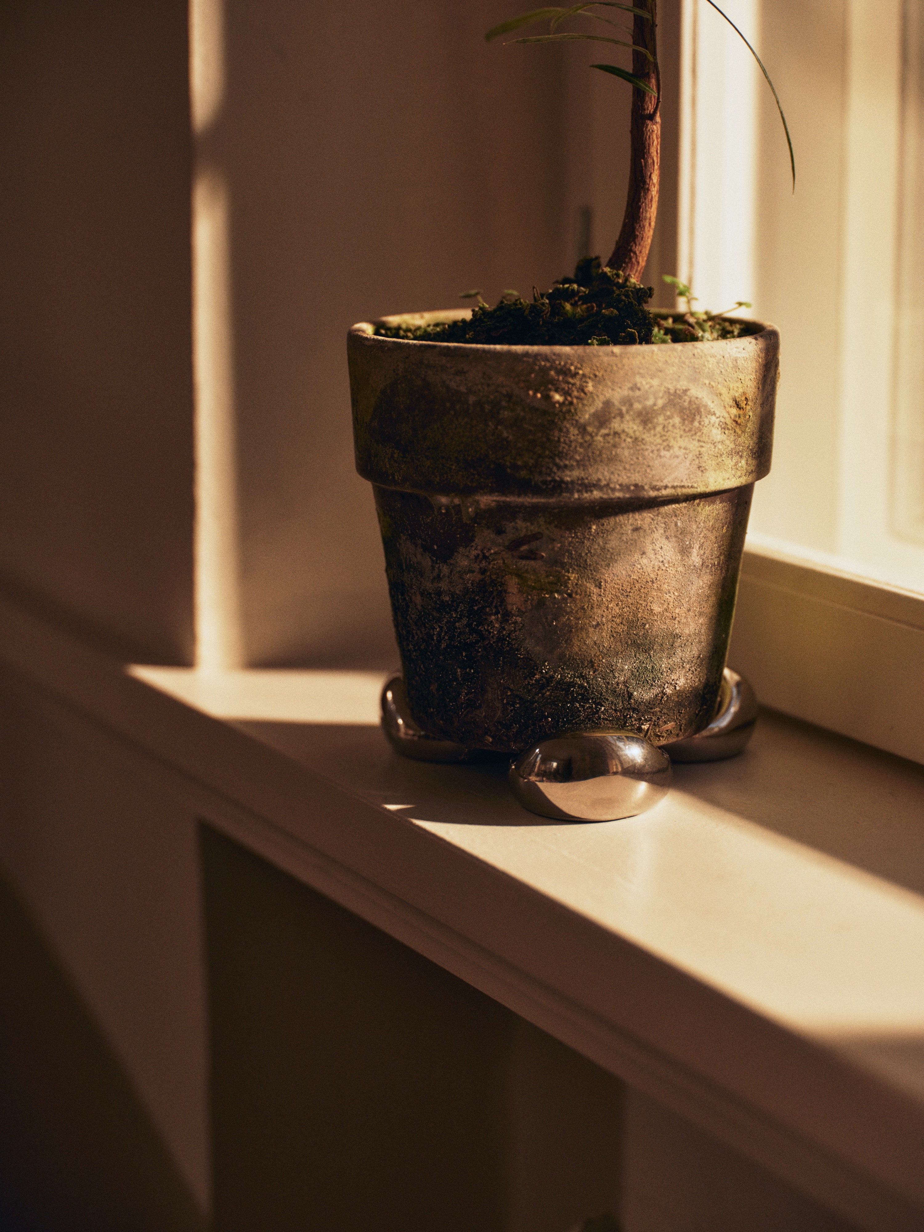 NUBE Silver Planter Coaster Set