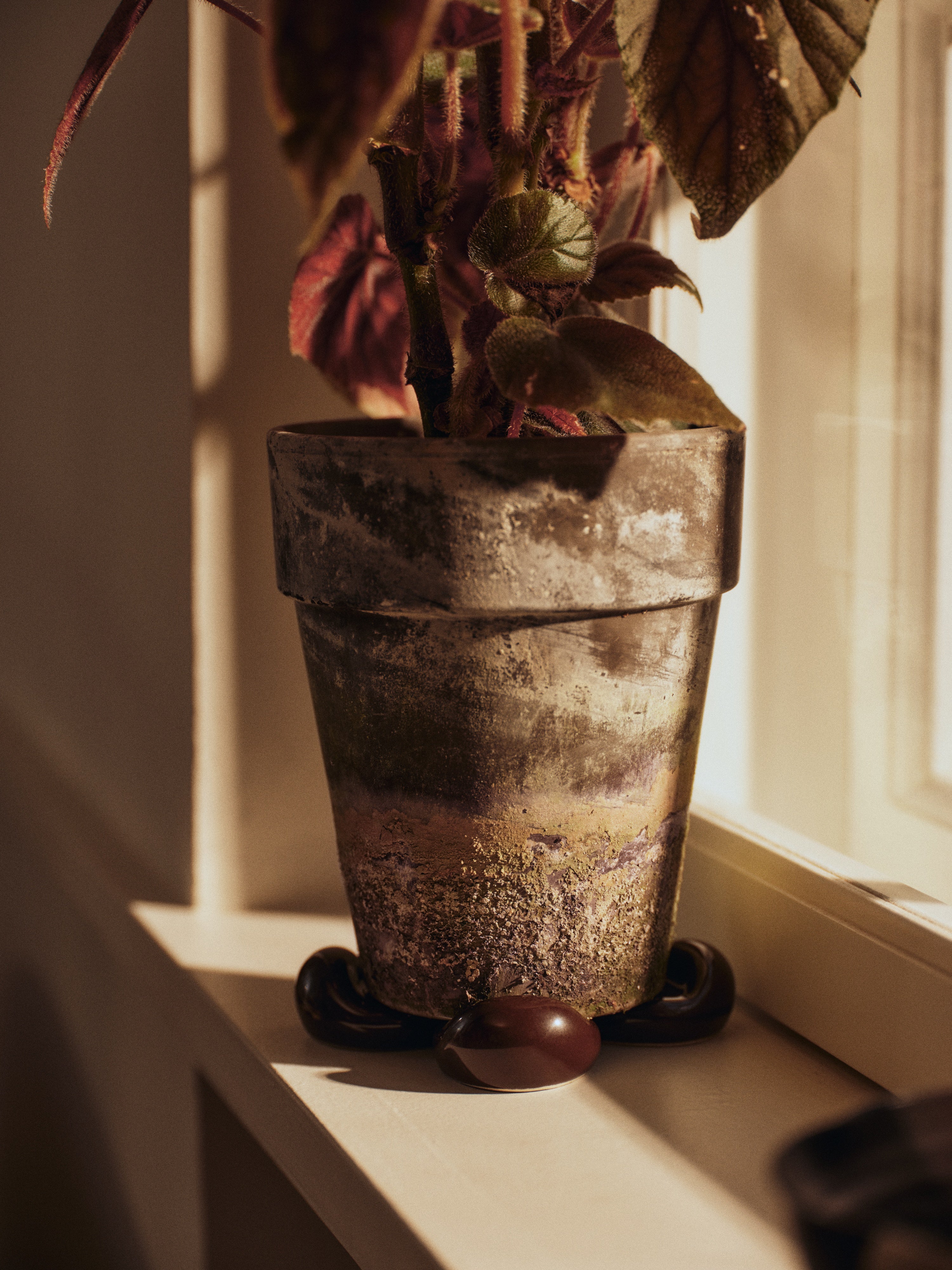 Untersetzer-Set für den NUBE Blumentopf braun