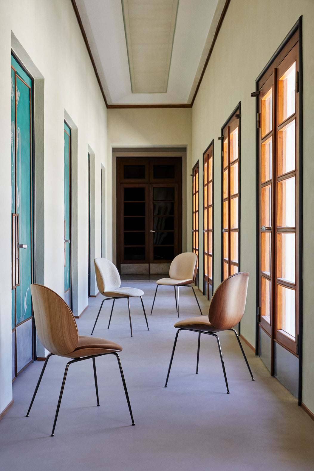 Polsterstuhl BEETLE mit Nussbaumholz und messingfarbenem Gestell