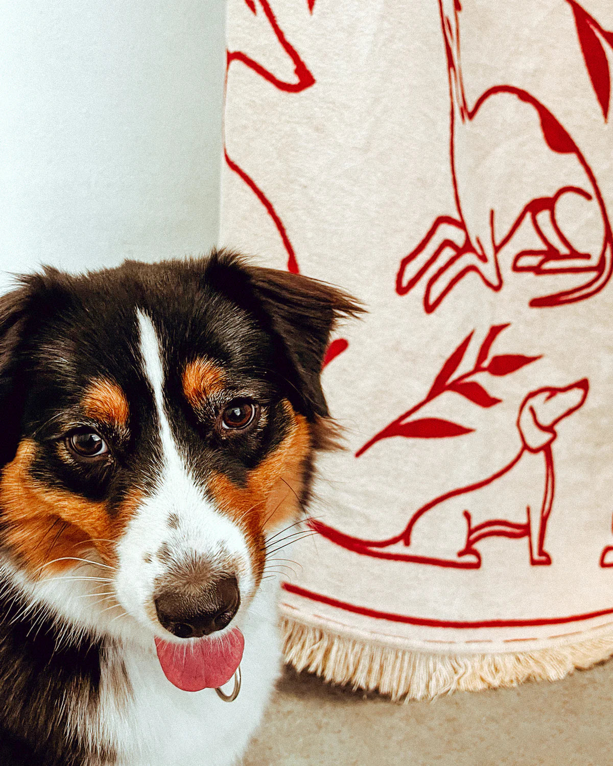 Koc PAWFECT sandy beige and burgundy