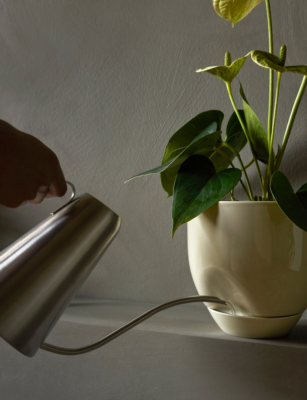 Blumentopf HYDROUS ochra