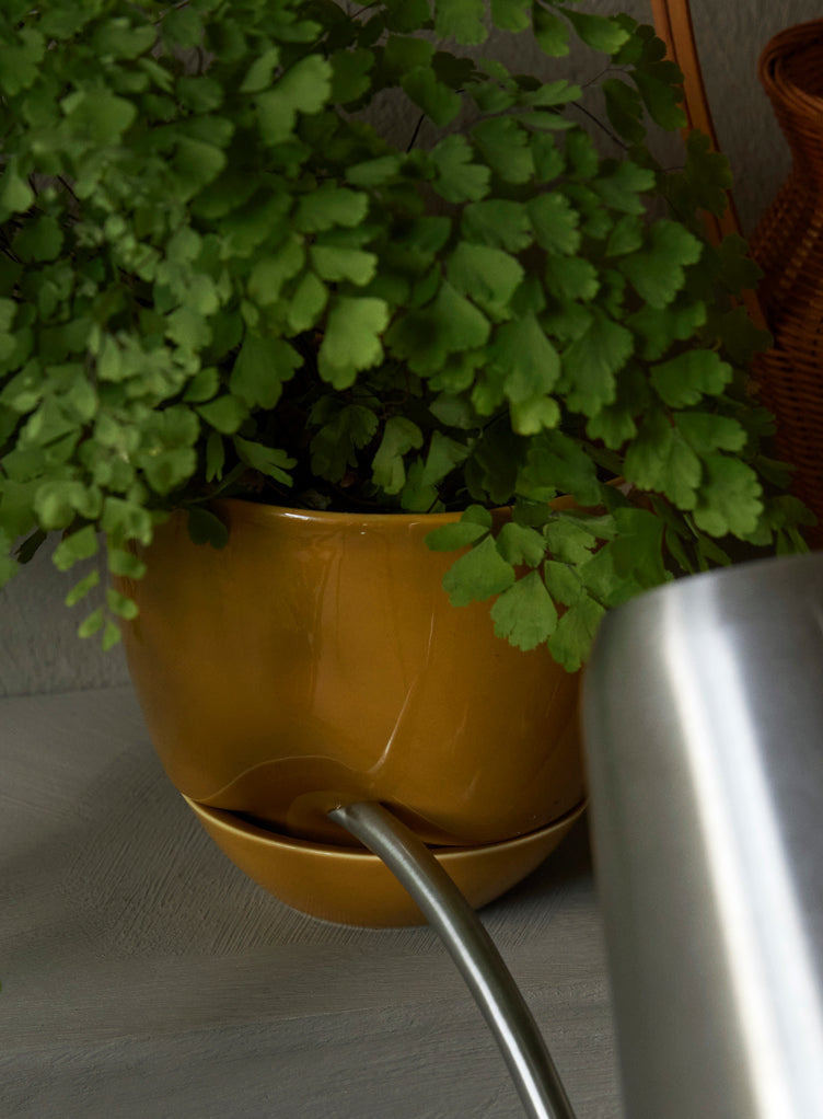 Blumentopf HYDROUS ochra