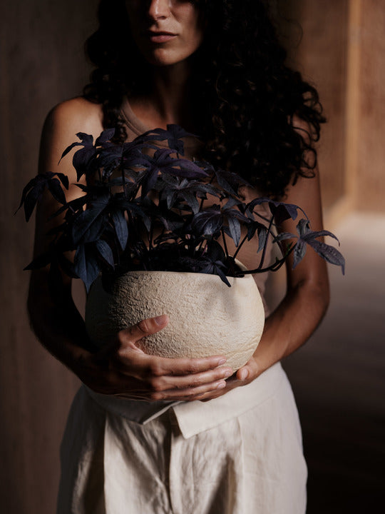 Donica PLANTAS Kamionka