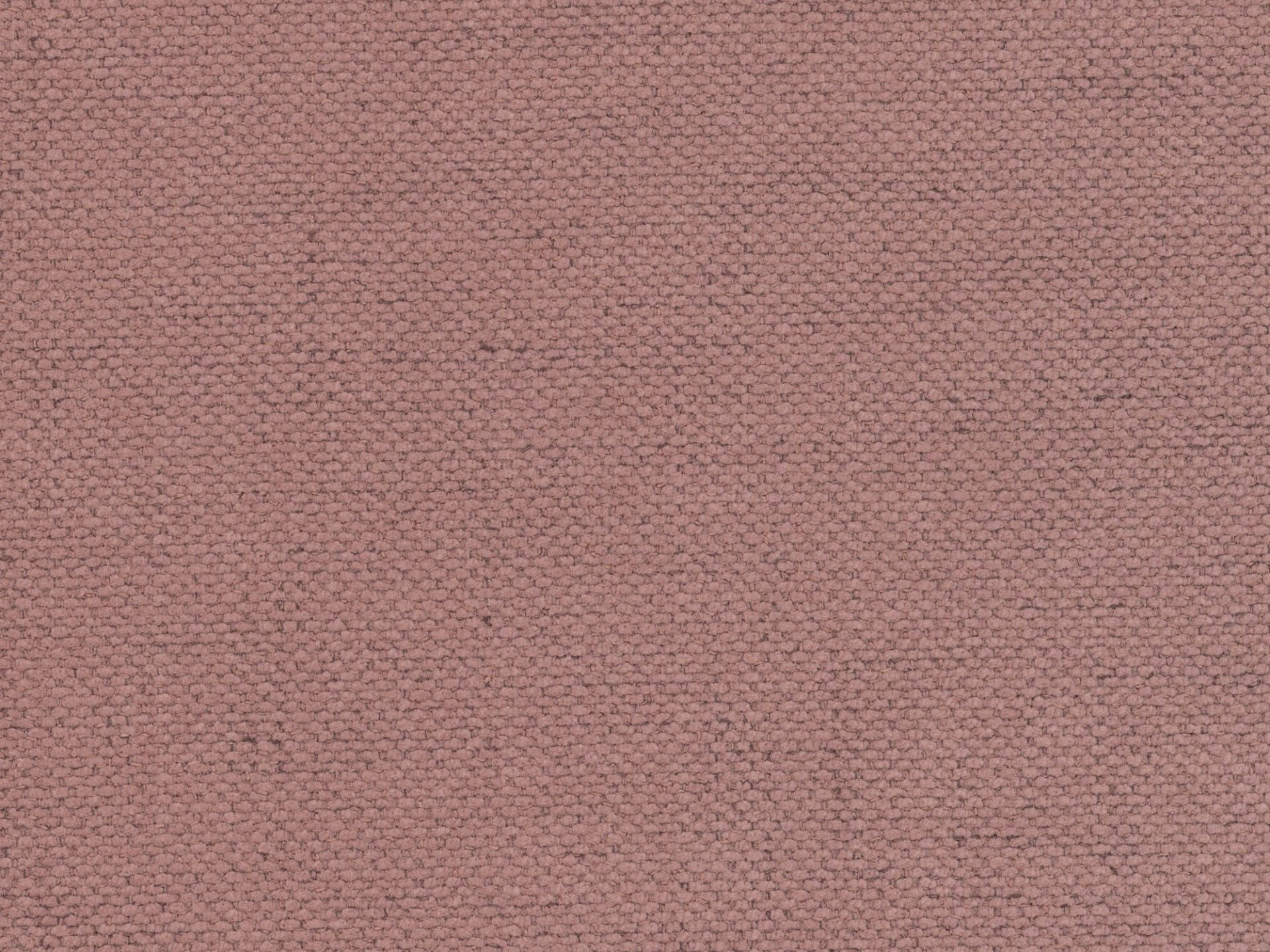 Bett LUPINE dunkelpink