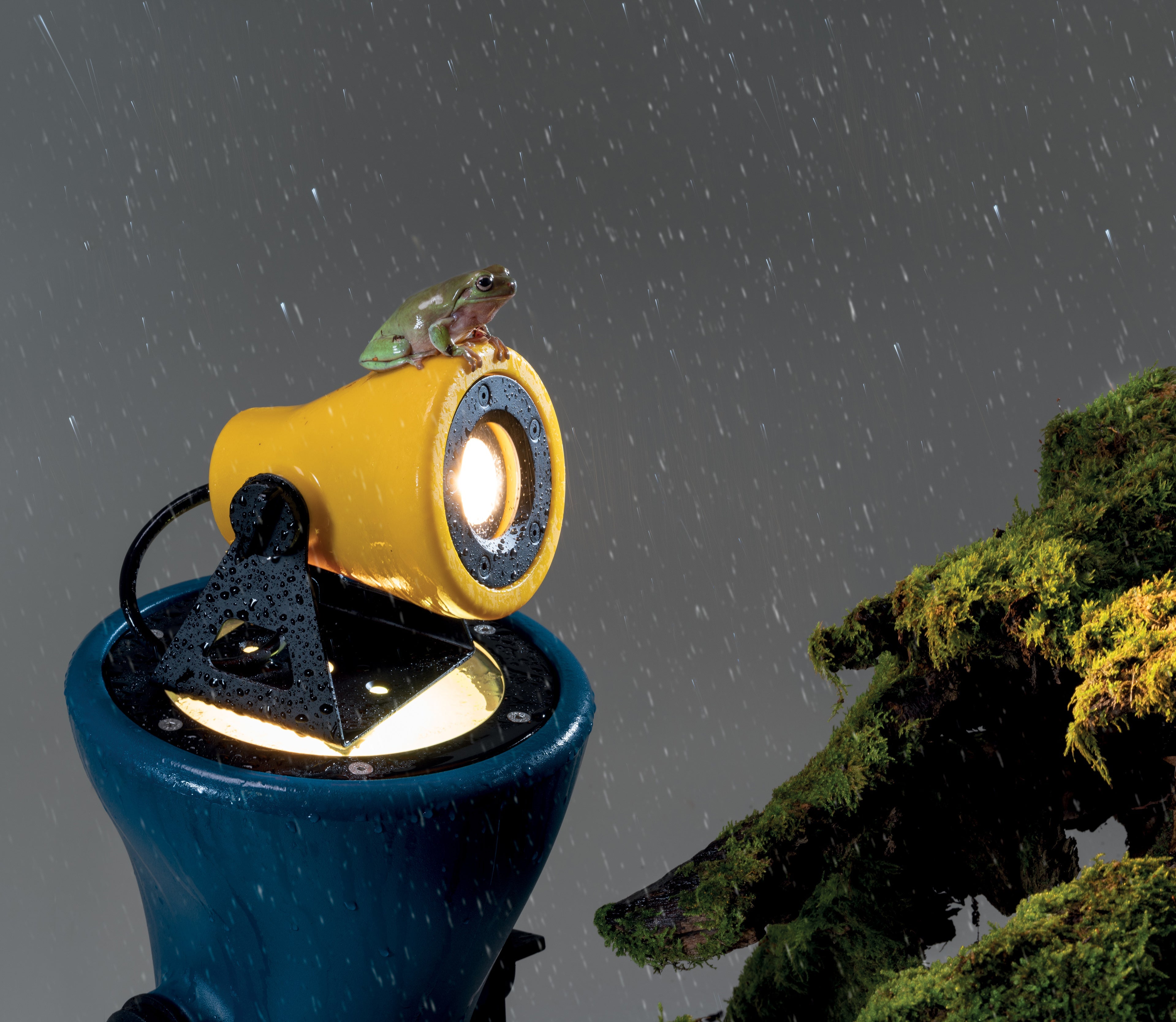 Lampa ścienna zewnętrzna FROG żółty