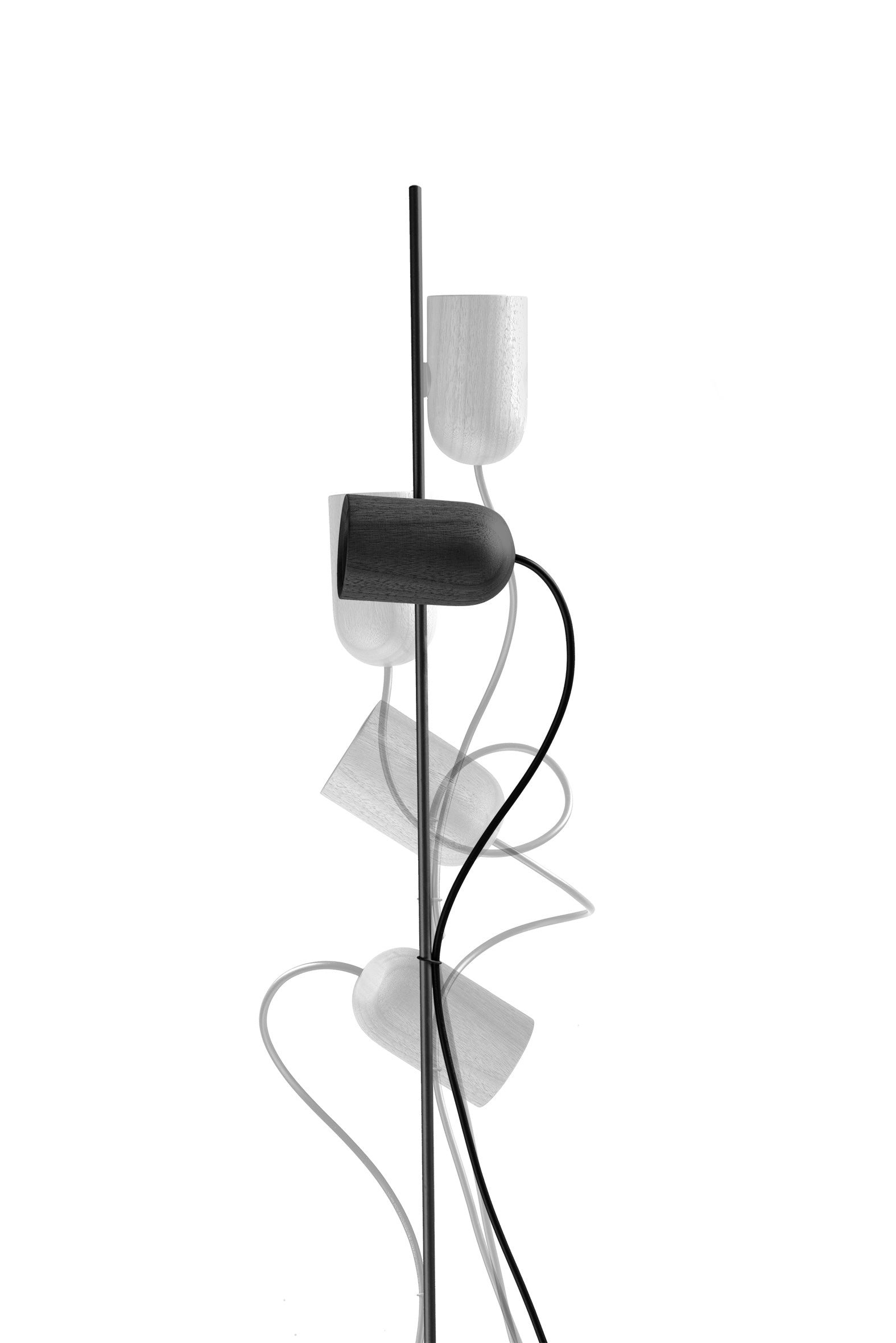 ONFA Floor Lamp in Black Ash Wood with Graphite Finish