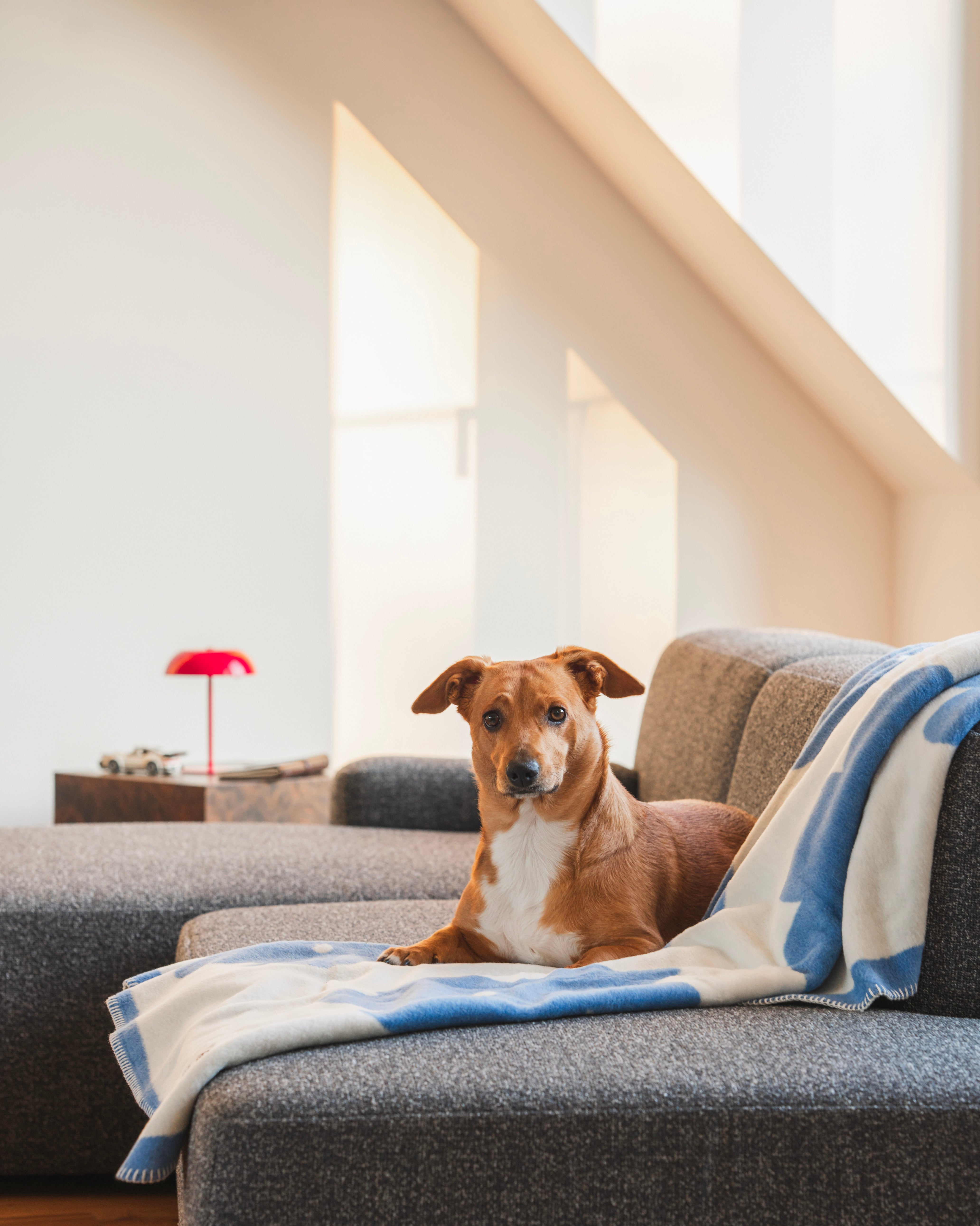 Open left-sided modular corner sofa UMI stone black