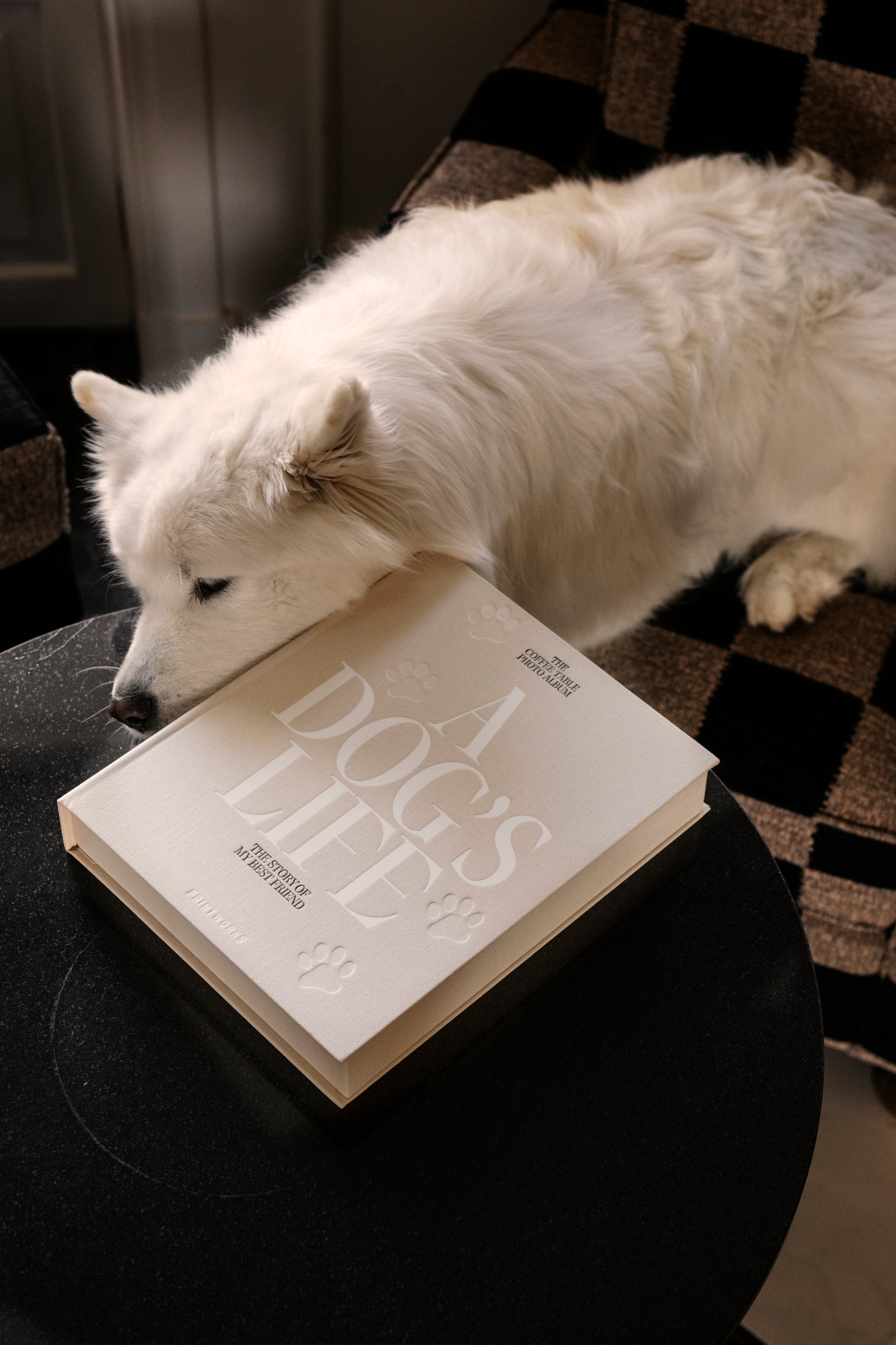 Fotoalbum A DOG'S LIFE beige