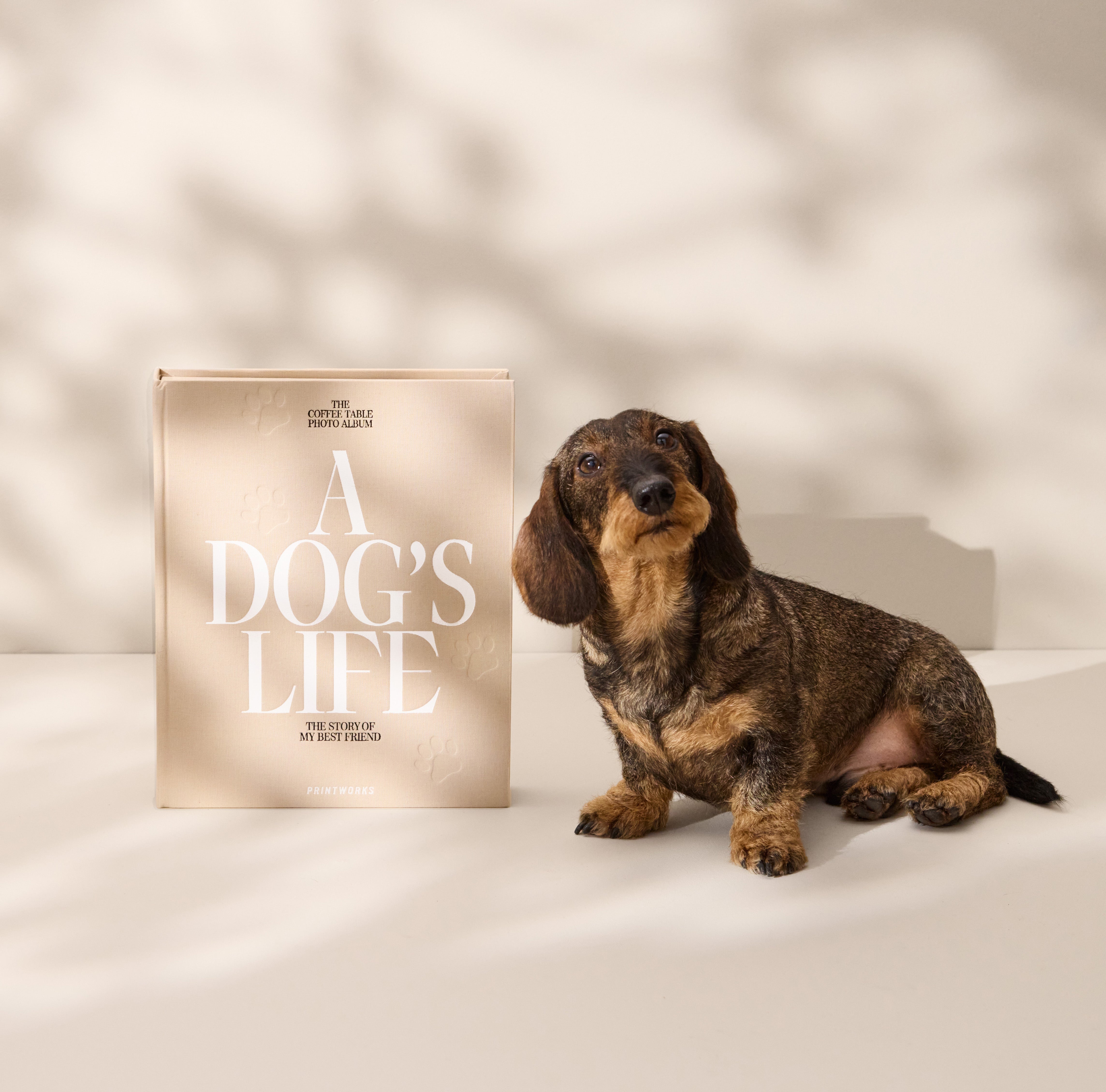 Fotoalbum A DOG'S LIFE beige
