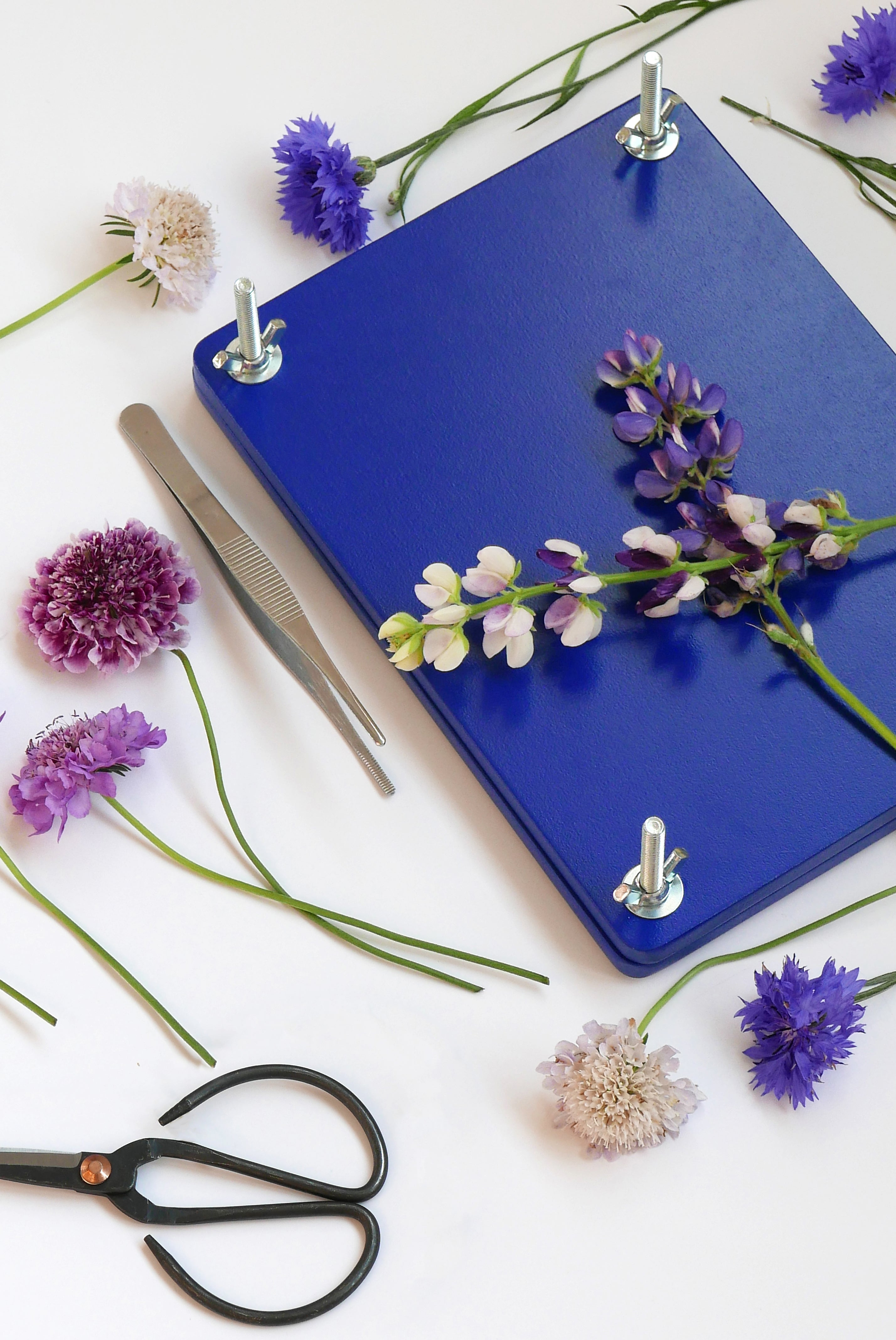 FLOWER PRESS SET Blue