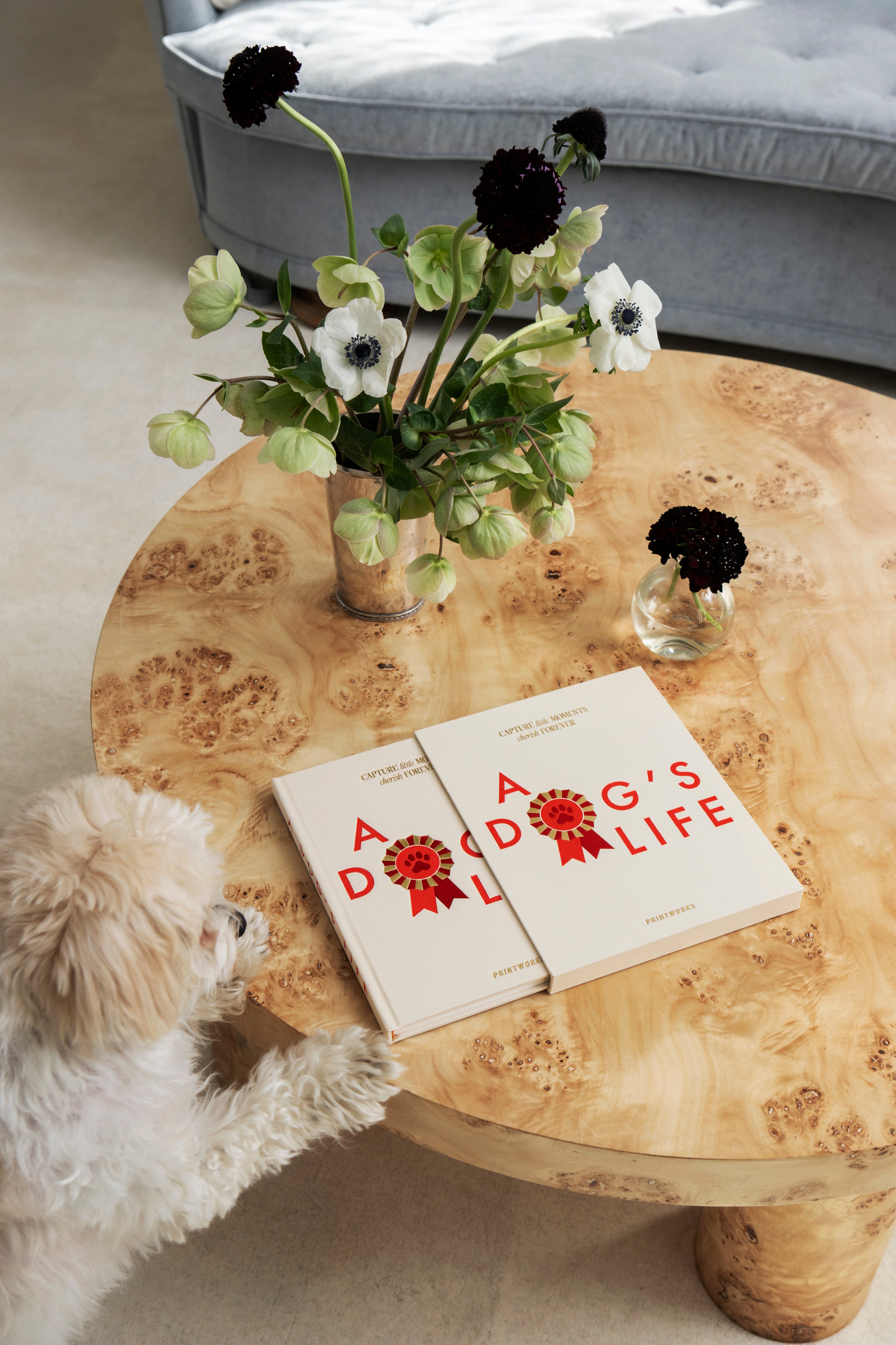 Dziennik A DOG'S LIFE beige mit Rot